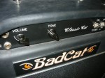 Bad Cat 0163